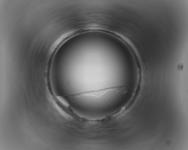 X0000113991333200910021213