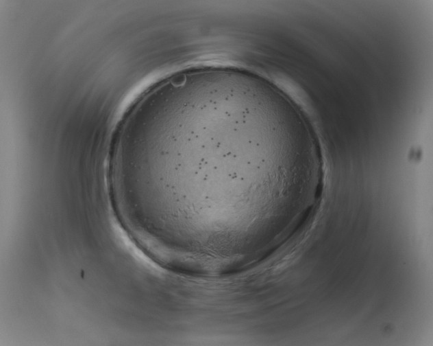 X0000113991334200910021213