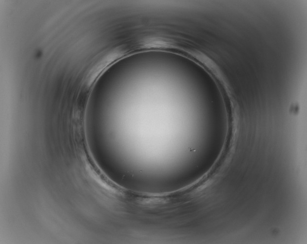 X0000113991337200910021213