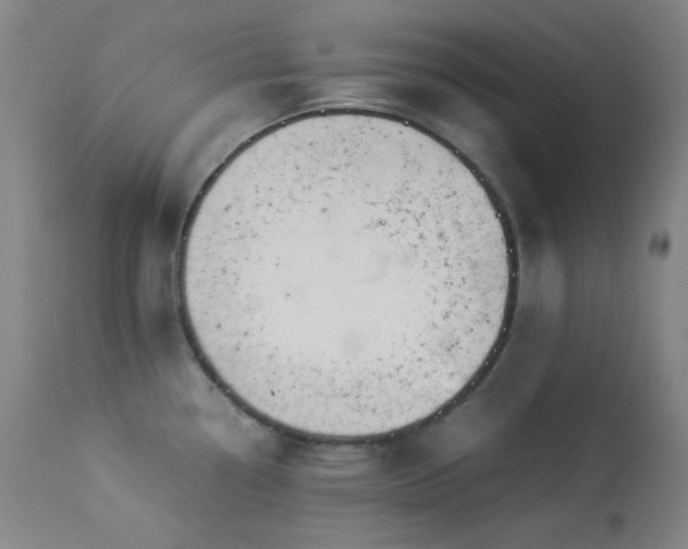 X0000113991338200910021213