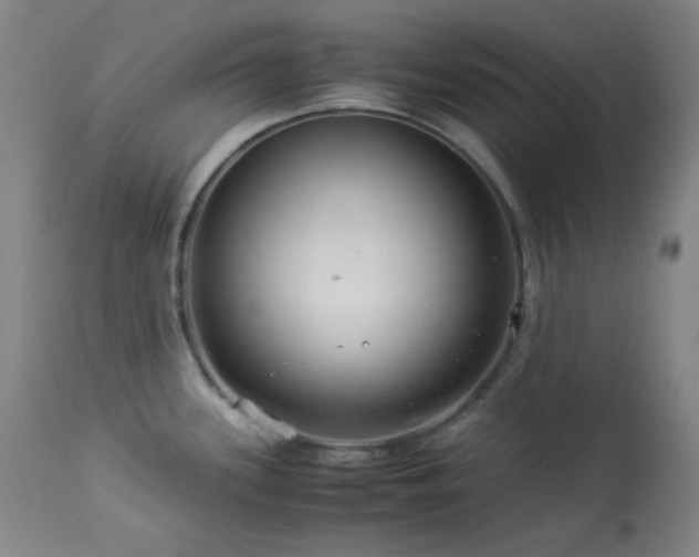 X0000113991339200910021213