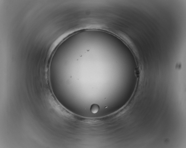 X0000113991340200910021213