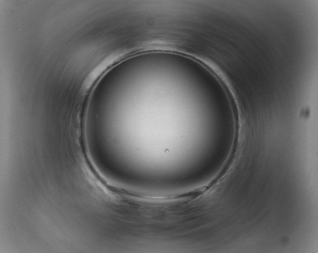 X0000113991341200910021213