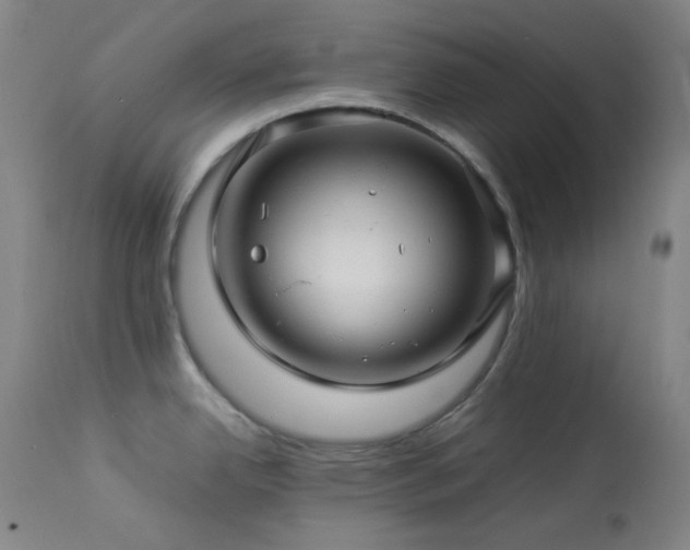 X0000113991342200910021213