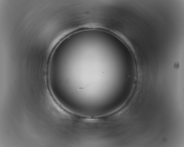 X0000113991343200910021213