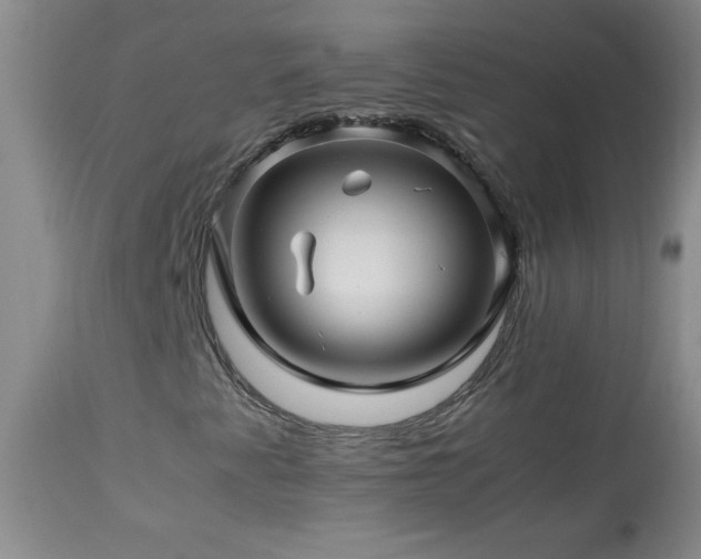 X0000113991345200910021212