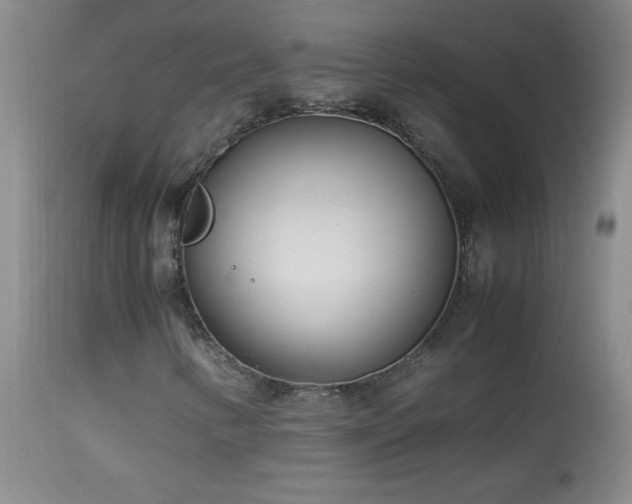 X0000113991346200910021212