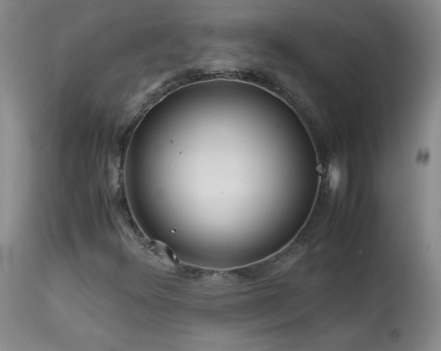 X0000113991348200910021212
