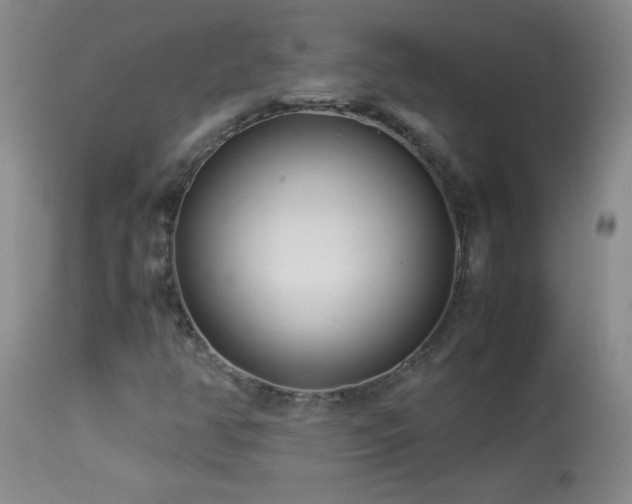 X0000113991350200910021212