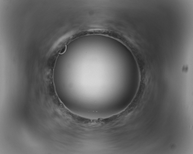 X0000113991351200910021212