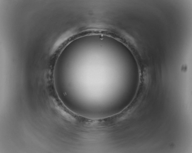 X0000113991352200910021212