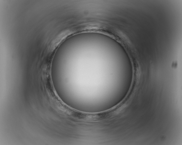 X0000113991353200910021212