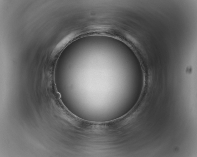 X0000113991354200910021212