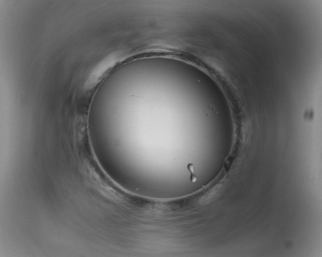 X0000113991355200910021212