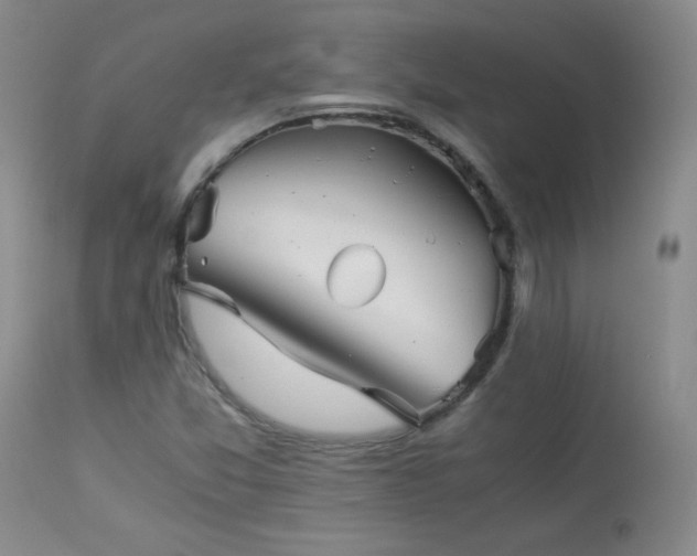 X0000113991357200910021212