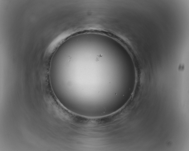 X0000113991359200910021212