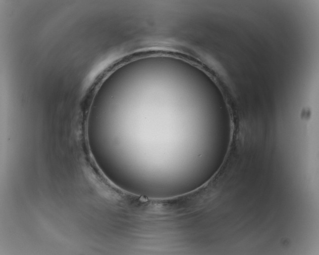 X0000113991360200910021212
