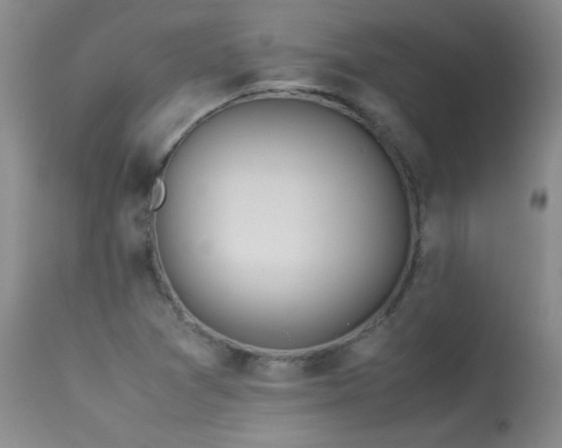 X0000113991361200910021212