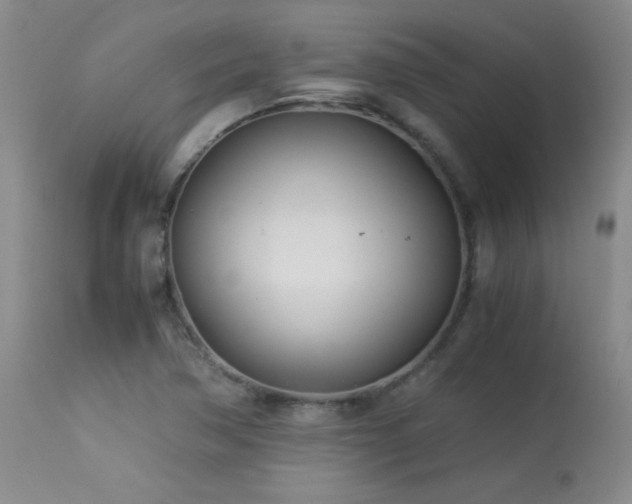 X0000113991362200910021212