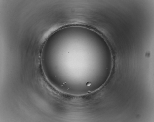 X0000113991363200910021212