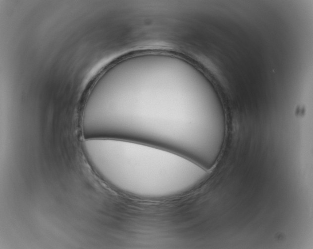 X0000113991364200910021212