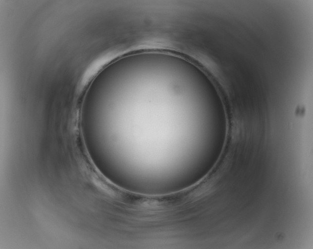 X0000113991366200910021212