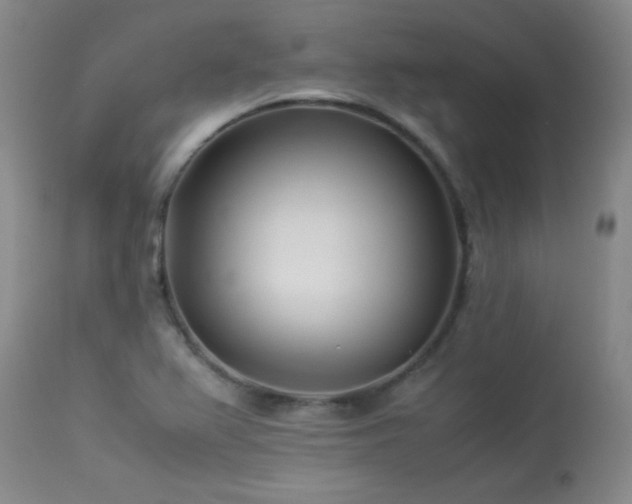X0000113991367200910021212