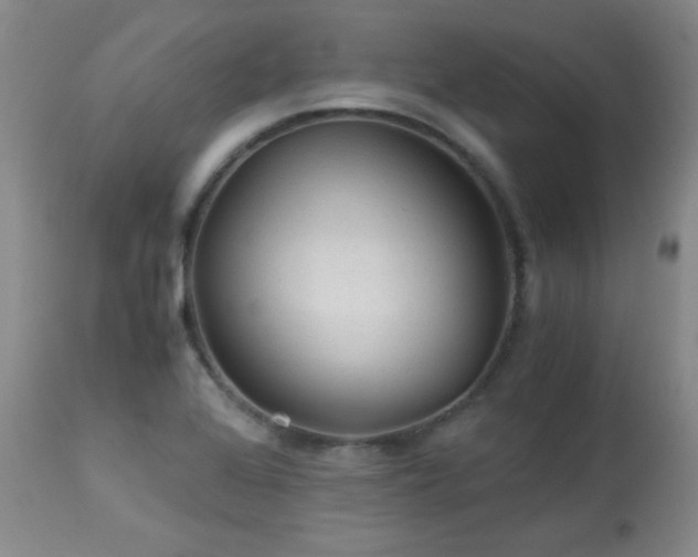 X0000113991368200910021212