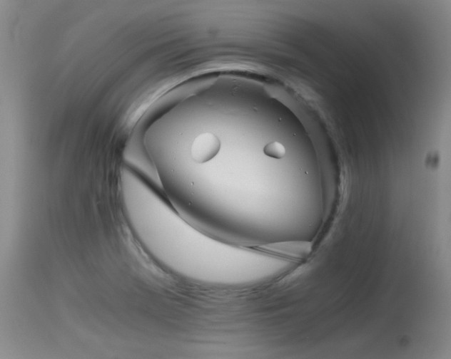 X0000113991369200910021212