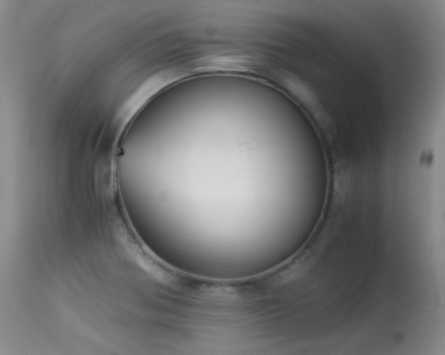 X0000113991370200910021212