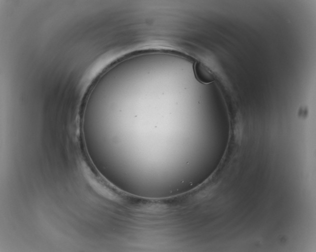 X0000113991372200910021212