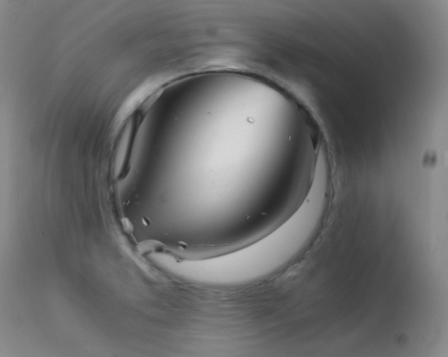 X0000113991373200910021212