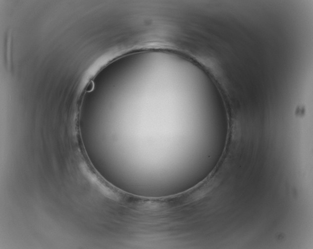 X0000113991374200910021212