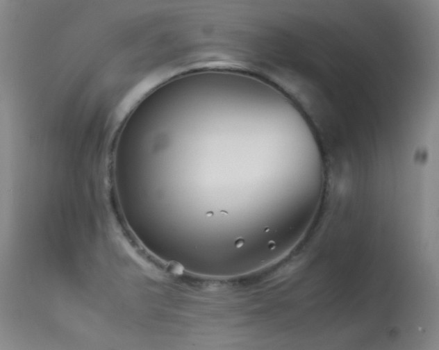 X0000113991375200910021212