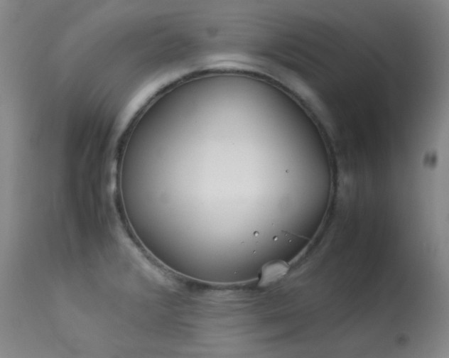X0000113991376200910021212