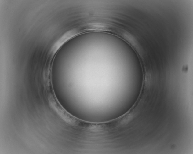 X0000113991378200910021212