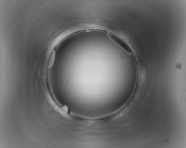 X0000113991381200910021212