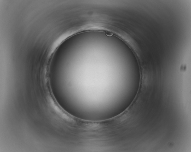 X0000113991382200910021212