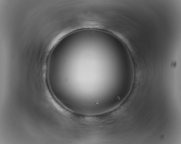X0000113991383200910021212