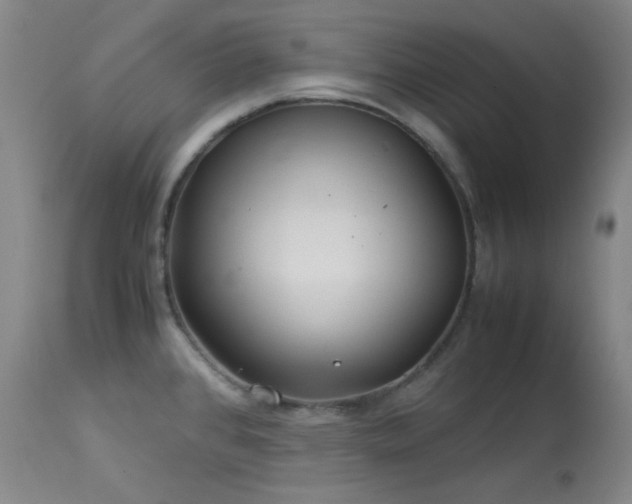 X0000113991384200910021212