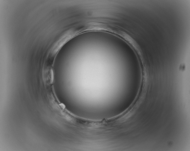X0000113991385200910021212