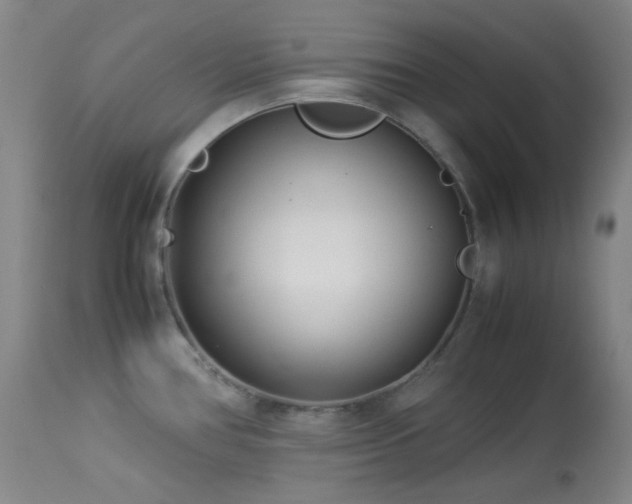 X0000113991386200910021212