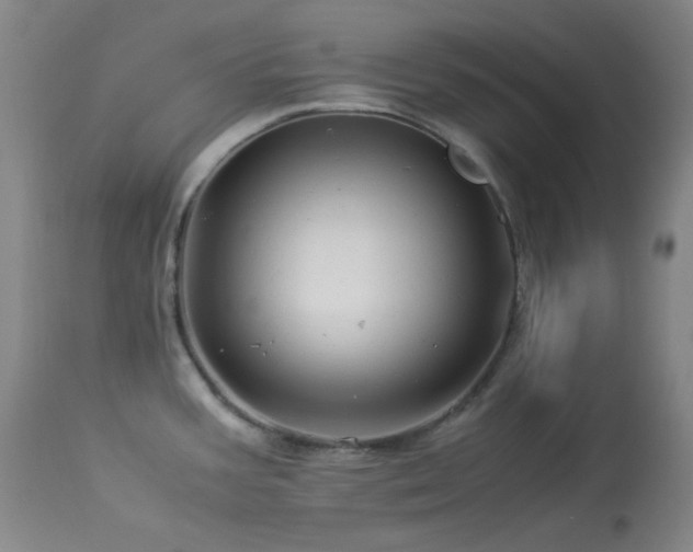 X0000113991387200910021212