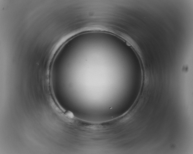 X0000113991388200910021212