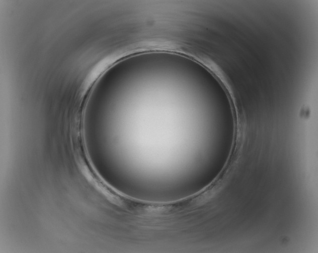 X0000113991389200910021212