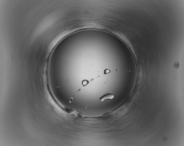 X0000113991391200910021212