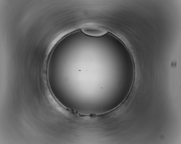 X0000113991392200910021212