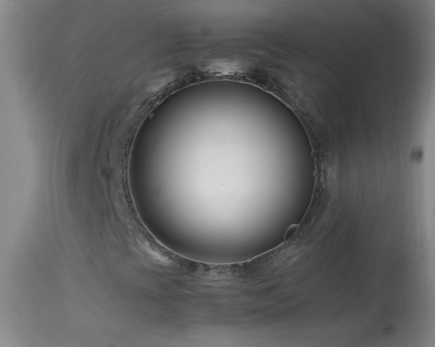 X0000113991393200910021211