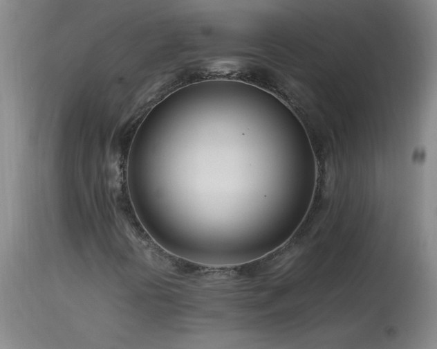 X0000113991394200910021211