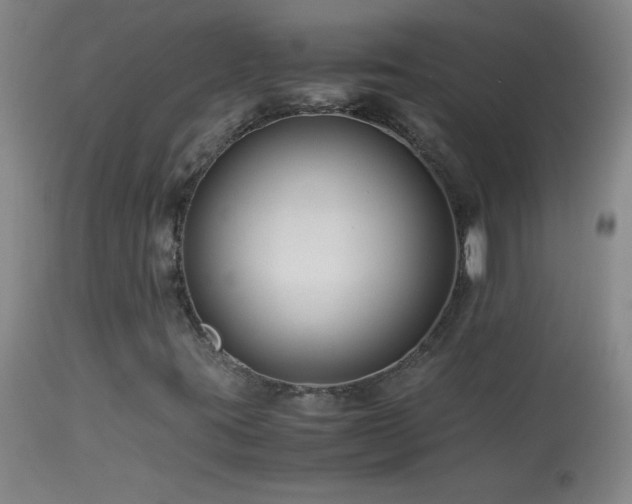 X0000113991395200910021211